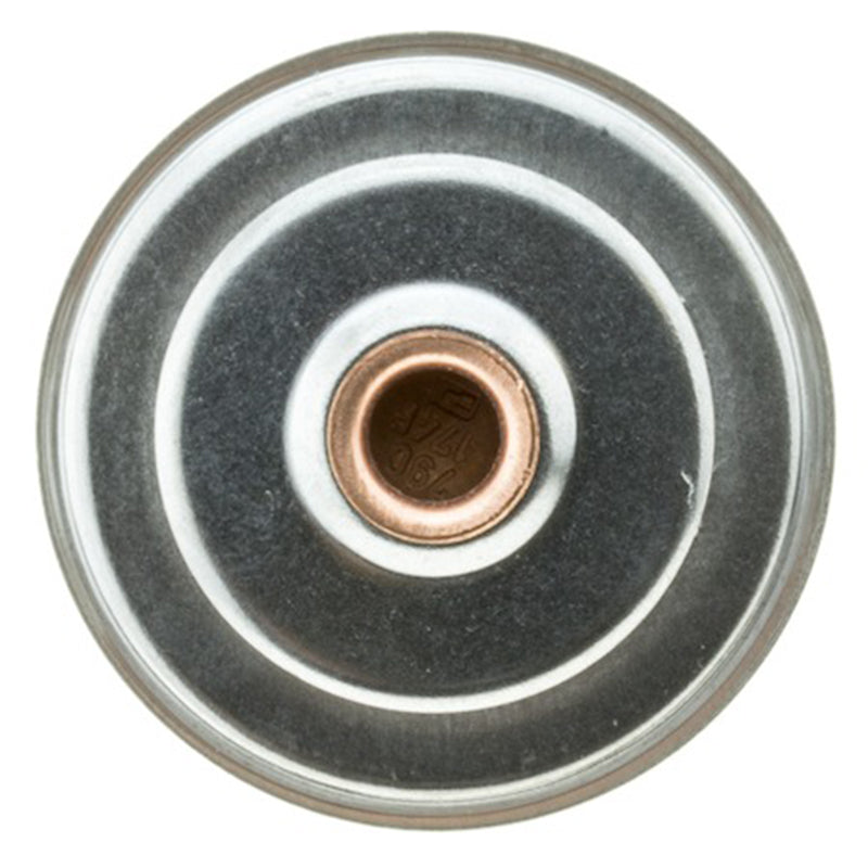 Termostato Jetta 95-99