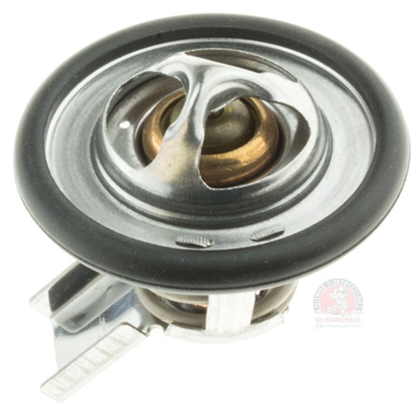 Termostato Rodeo Sport 01-03