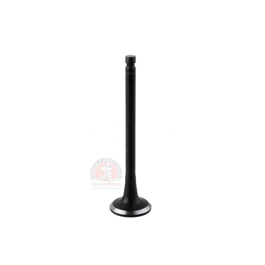 Valvula escape ACCENT ATTITUD VERNA
