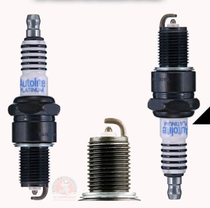 Bujia Platino Pointer Combi Ichivan Tracker Ram Charger
